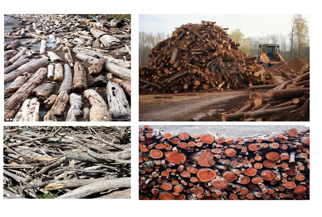 Wood Log  Recycling Line