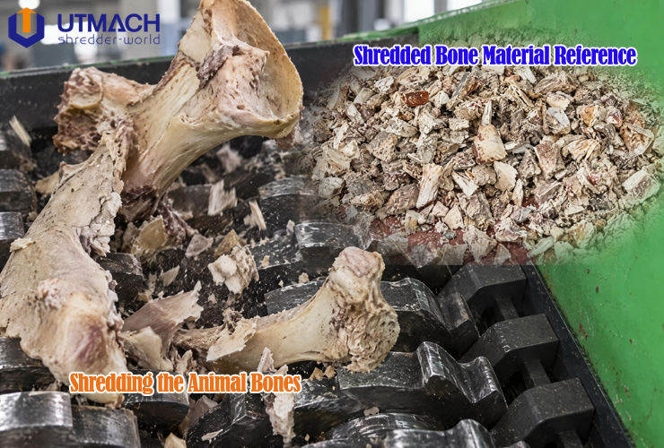 Industrial Shredder for Animal Bones from crusher-world